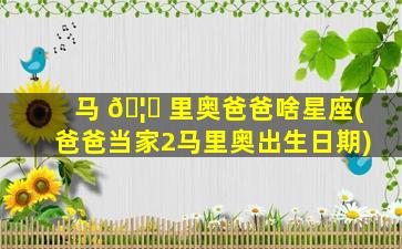 马 🦄 里奥爸爸啥星座(爸爸当家2马里奥出生日期)
